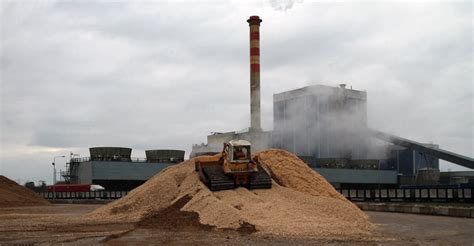 Bord na Móna and Coillte sign landmark biomass supply deal for Edenderry | Bioenergy International