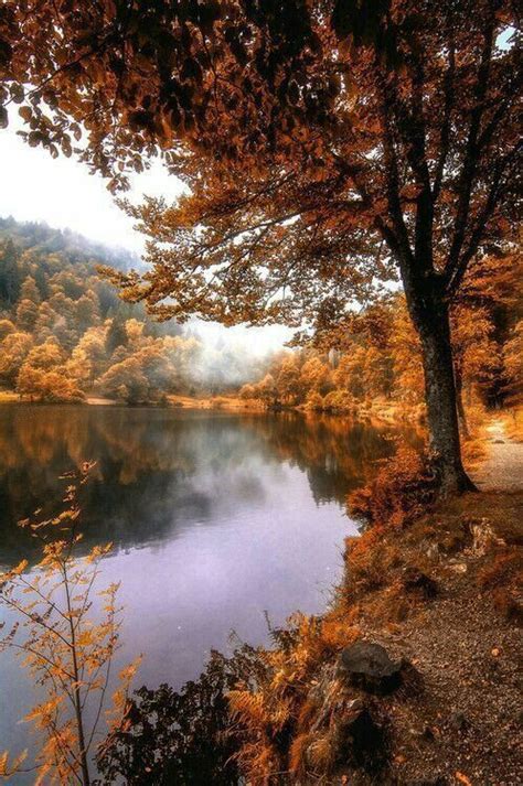 Autumn lake – Artofit