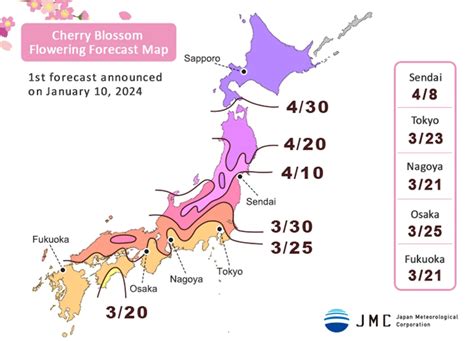 Japan Cherry Blossom Forecast 2024 - Marge Ottilie