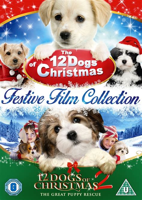 The 12 Dogs of Christmas/12 Dogs of Christmas: Great Puppy Rescue | DVD | Free shipping over £20 ...