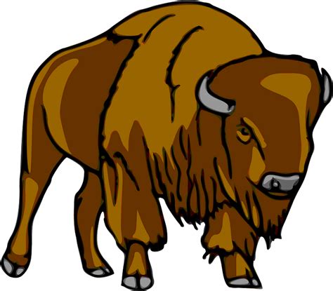 Buffalo clipart. Free download transparent .PNG | Creazilla