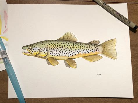 Just finished this watercolor of a brown trout and wanted to share ...