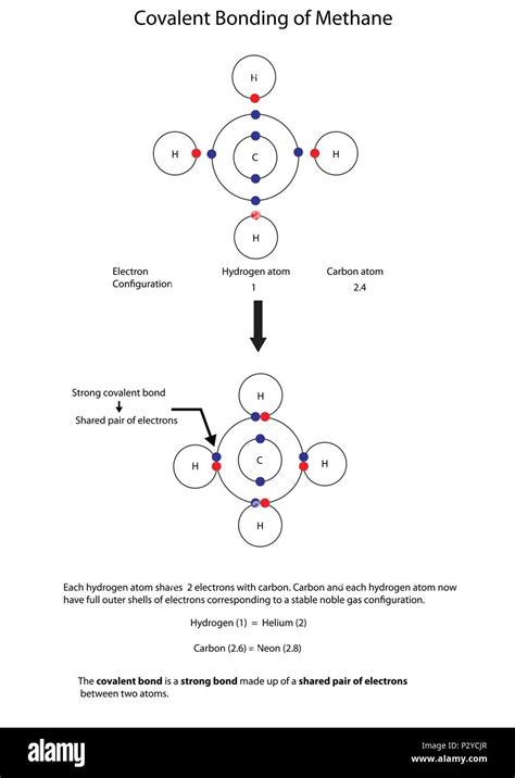 [DIAGRAM] Hcl Covalent Bond Diagram - MYDIAGRAM.ONLINE