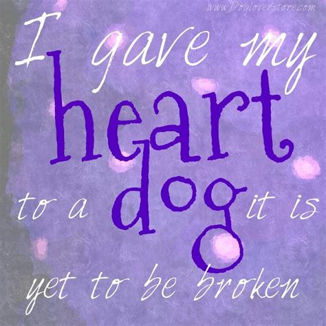 I gave my heart to a dog, it is yet to be broken | Dog lover quotes ...