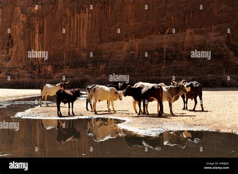 Ennedi plateau hi-res stock photography and images - Alamy