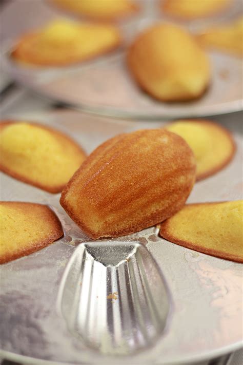 Madeleine (French Butter Cake) | TheZongHan