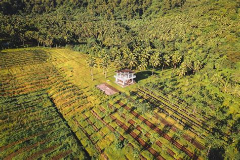 Aerial View of a Farmland with a Farm House · Free Stock Photo