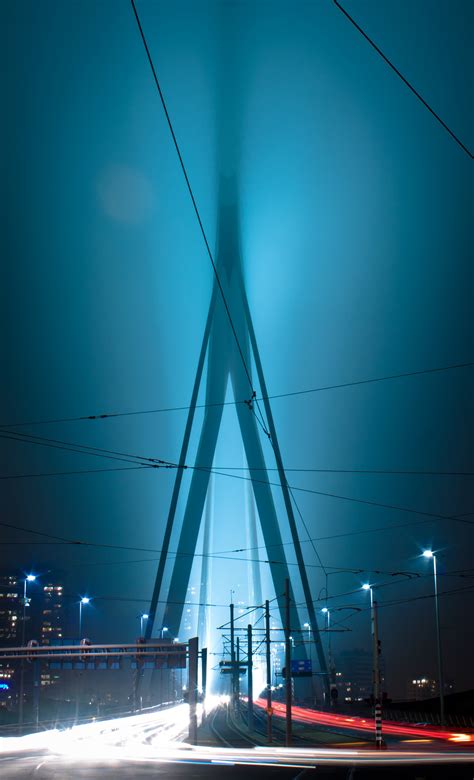 Erasmusbrug on Behance