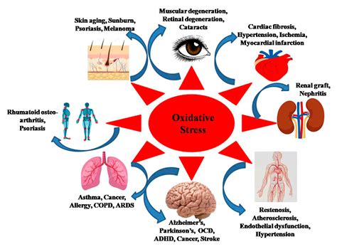 Reduce Oxidative Stress with Tai Chi | Contemplative Studies