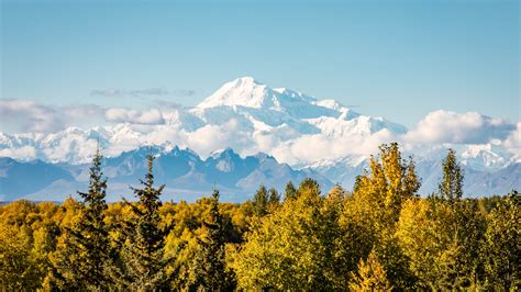 Denali National Park Camping: Your Different Options - Getaway Couple