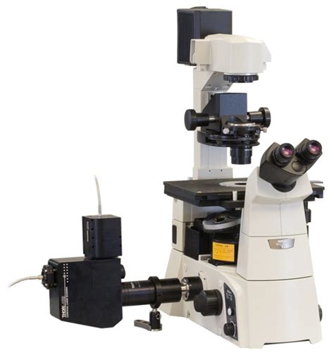 Super-resolution microscopy • Telight