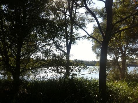 Parramatta River Walk at Sydney Olympic Park