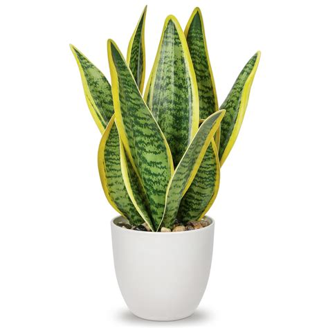 Hollyone Artificial Snake Plant Potted Faux Sansevieria Trifasciata Plants, 13" Tropical Fake ...