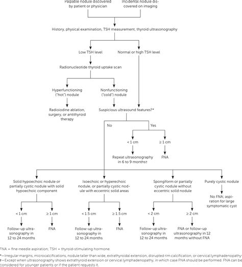 Thyroid Nodules: Advances in Evaluation and Management | AAFP