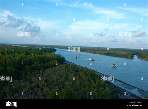 Aerial view of the Sundarbans, a UNESCO World Heritage Site and a ...