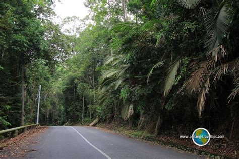 Gunung Jerai (Kedah Peak)