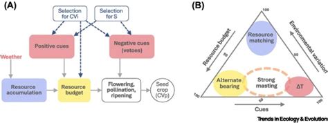 Evolutionary ecology of masting: mechanisms, models, and climate change ...