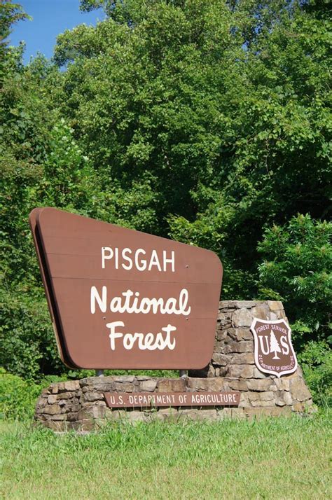 Pisgah National Forest, Asheville Camping and Hiking | Pisgah national ...