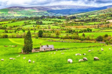 What are the best places to live in Ireland? | IrishCentral.com