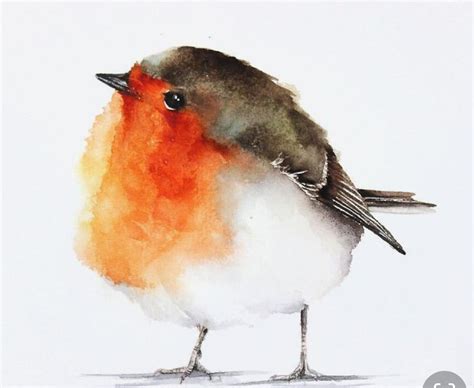 Pin on Watercolor, Painting and Drawing | Bird watercolor paintings, Watercolor bird, Birds painting