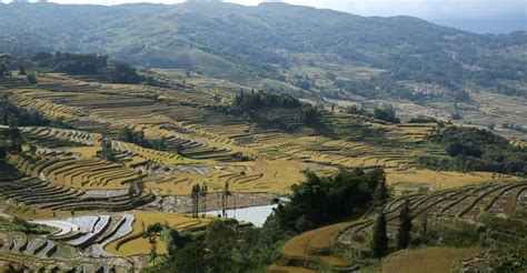 The Rice Terraces of Yunnan Province - The Atlantic