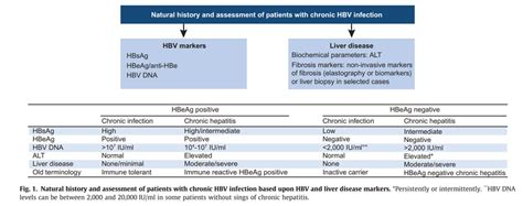 Why HBV DNA Quantitative Test Important？ - Daan Gene Co., Ltd.