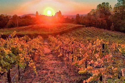 El Dorado County Wineries: Tahoe Attractions Review - 10Best Experts and Tourist Reviews