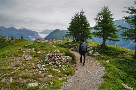 Free Images : landscape, tree, nature, path, grass, wilderness, walking ...