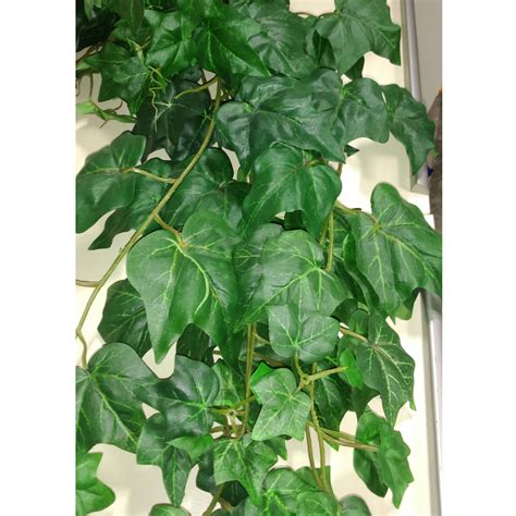 AdmiredbyNature English Ivy Hanging Plant | Wayfair