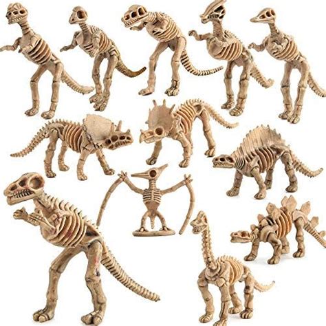 Fantarea Dinosaur Skeleton Fossils Assorted Bones 12 PCS ... https://www.amazon.com/dp ...