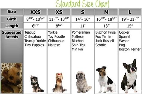 Dog Size Chart