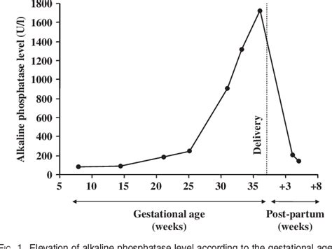 Figure 1 from Elevation of alkaline phosphatase in a pregnant patient with antiphospholipid ...