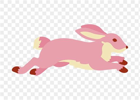 Jumping rabbit png sticker, animal | Premium PNG Sticker - rawpixel