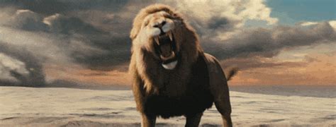 Lion Roaring GIFs - Find & Share on GIPHY