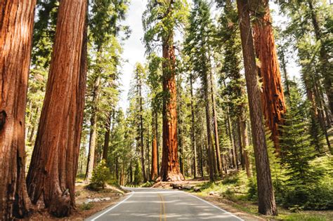 National Parks In The U.S. Are So Crowded, They All May Become Reservation Only - Travel Off Path