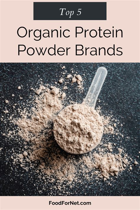 5 Best Organic Protein Powder Brands | Food For Net