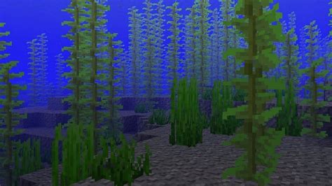 Where to find kelp in Minecraft