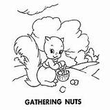 The A Cute Squirrel Coloring Pages  Cool sketch template