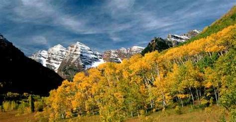 Aspen, Colorado fall colors - Nature - Photo.net