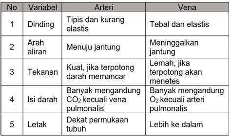 Perbedaan Pembuluh Darah Vena Dan Arteri Postingan Oke - Riset