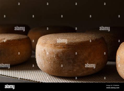 Production of artisanal cheese. In the curing process Stock Photo - Alamy