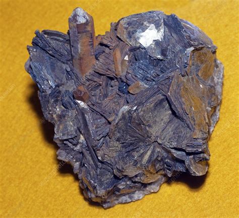 Zinnwaldite mineral group - Stock Image - C048/5570 - Science Photo Library