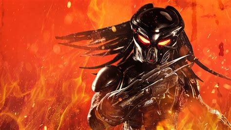 HD wallpaper: The Predator 4K 8K | Wallpaper Flare