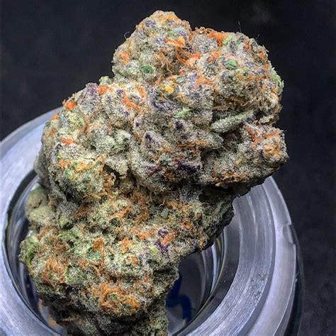 Love Cannabis – Runtz – StrainSupermarket.com