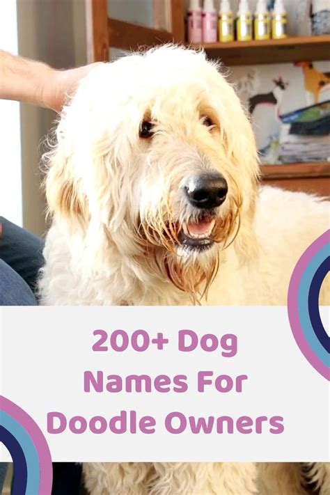 Doodle Puppy Name Finder -Doodle Doods [Video] | Puppy names ...