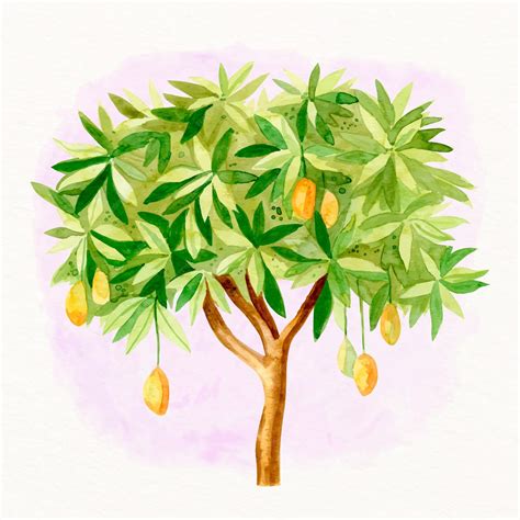 Free Vector | Watercolor mango tree illustration