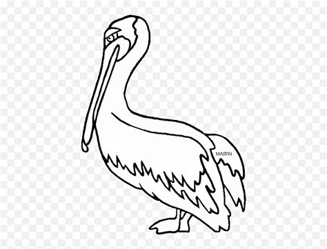 Louisiana Pelican Clipart - Clipart Louisiana State Bird Emoji,Louisiana Flag Emoji - free ...