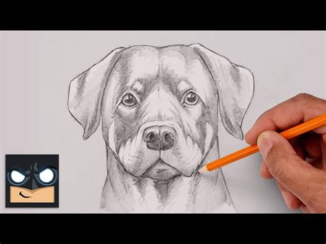 How To Draw a DOG | ROTTWEILER | Step by Step Sketch Tutorial - Videos ...