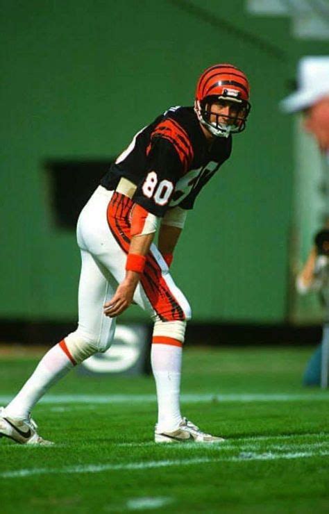 Cris Collinsworth | Bengals football