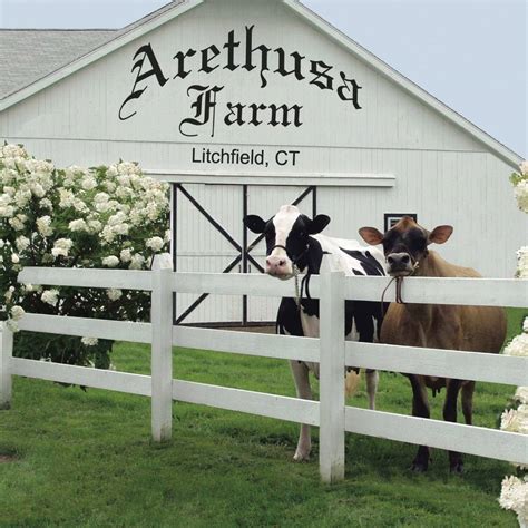 Arethusa Farm Is Going to Wamogo, Litchfield Schools